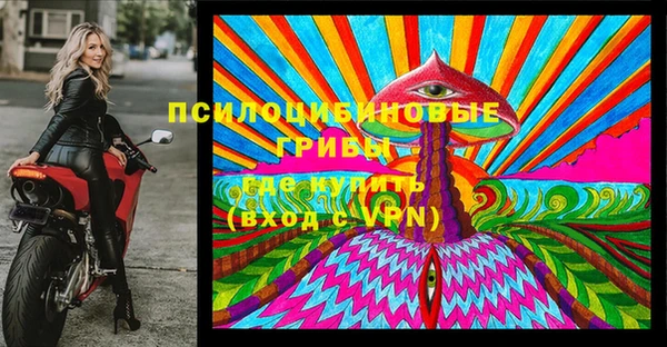 скорость Дмитриев