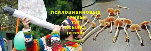 первитин Дмитровск