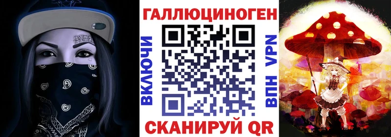 Купить где  Кизел  Псилоцибиновые грибы мицелий 
